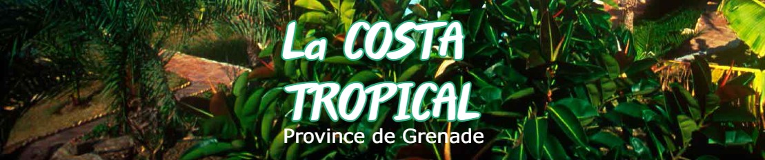 Hôtels sur la Costa Tropical