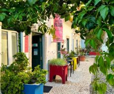 Casa do Patio by Shiadu