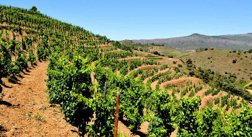 la région du Priorat