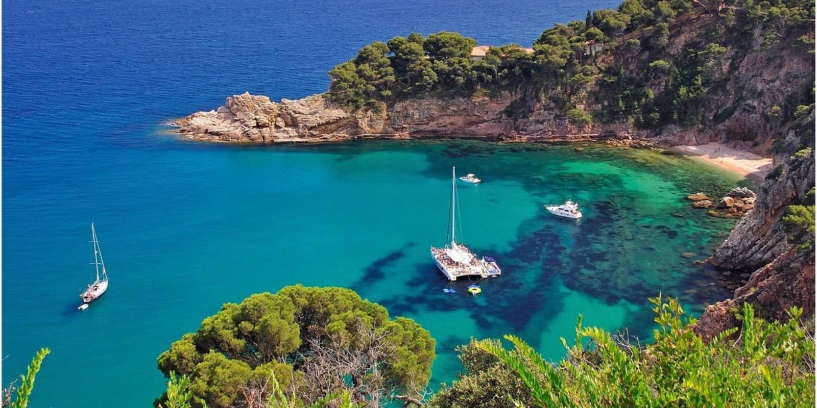 Roses Paysages Espagne