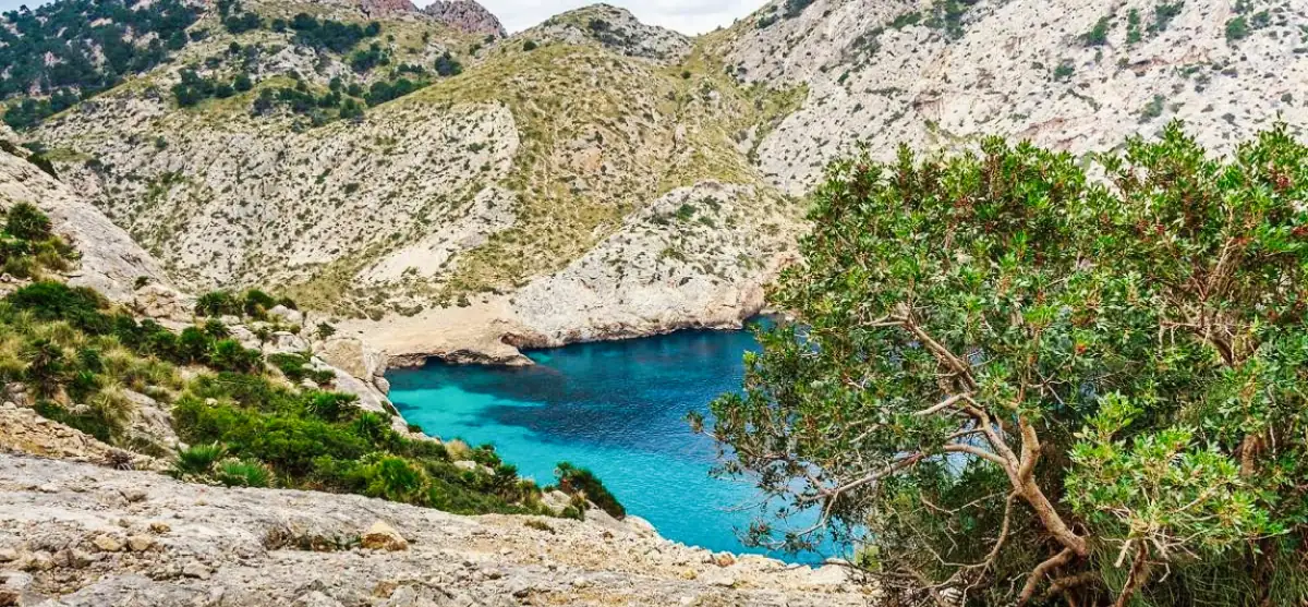 Can Picafort Parc Naturel S'Albufera