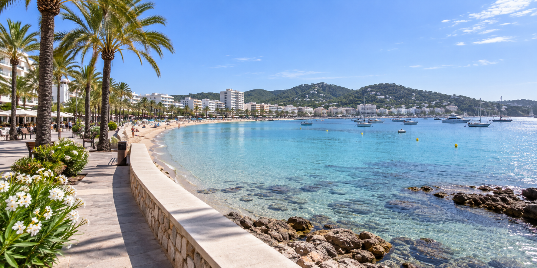 Baie de San Antonio à Ibiza avec promenade bordée de palmiers, plage et eau turquoise