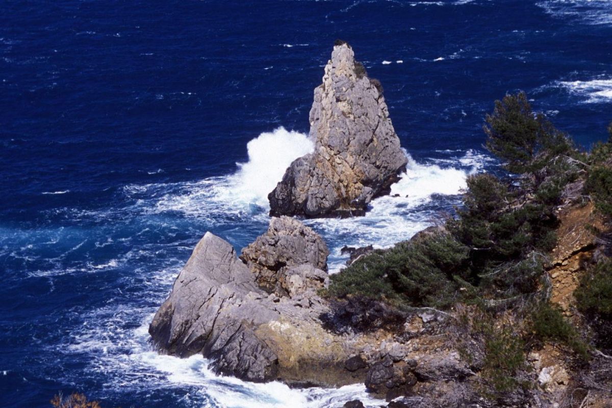 paysages variés