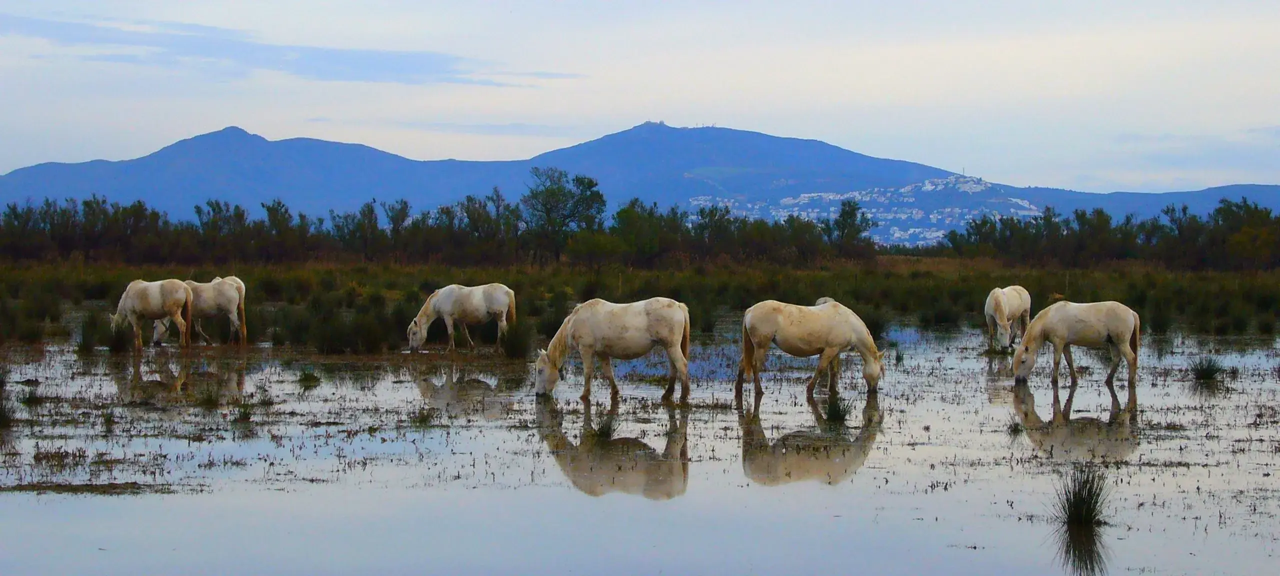 Parc Naturel des Aiguamolls de l’Empordà