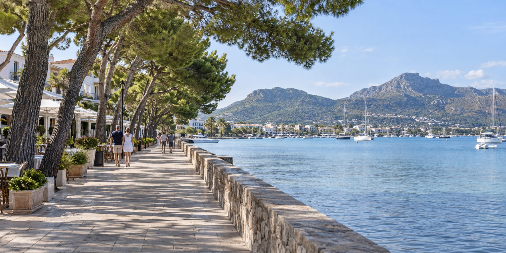 Pine Walk de Puerto Pollensa avec promenade bordée de pins, baie de Pollença, voiliers et montagnes de Majorque