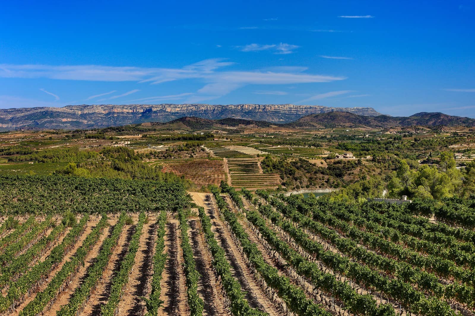 Le Priorat
