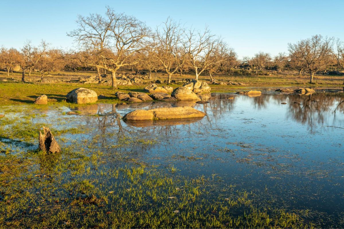 Paysage en Estrémadure