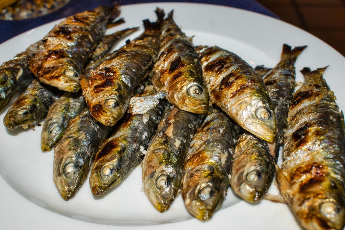 Gastronomie Cantabrie