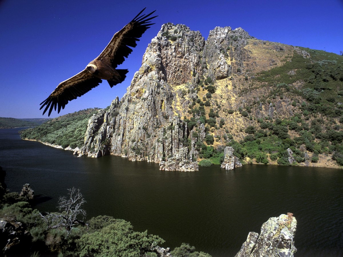  Parc naturel de Monfragüe