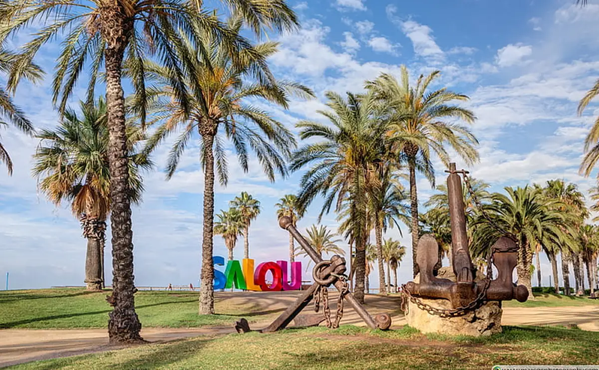 Promenade le long du Paseo Jaume I