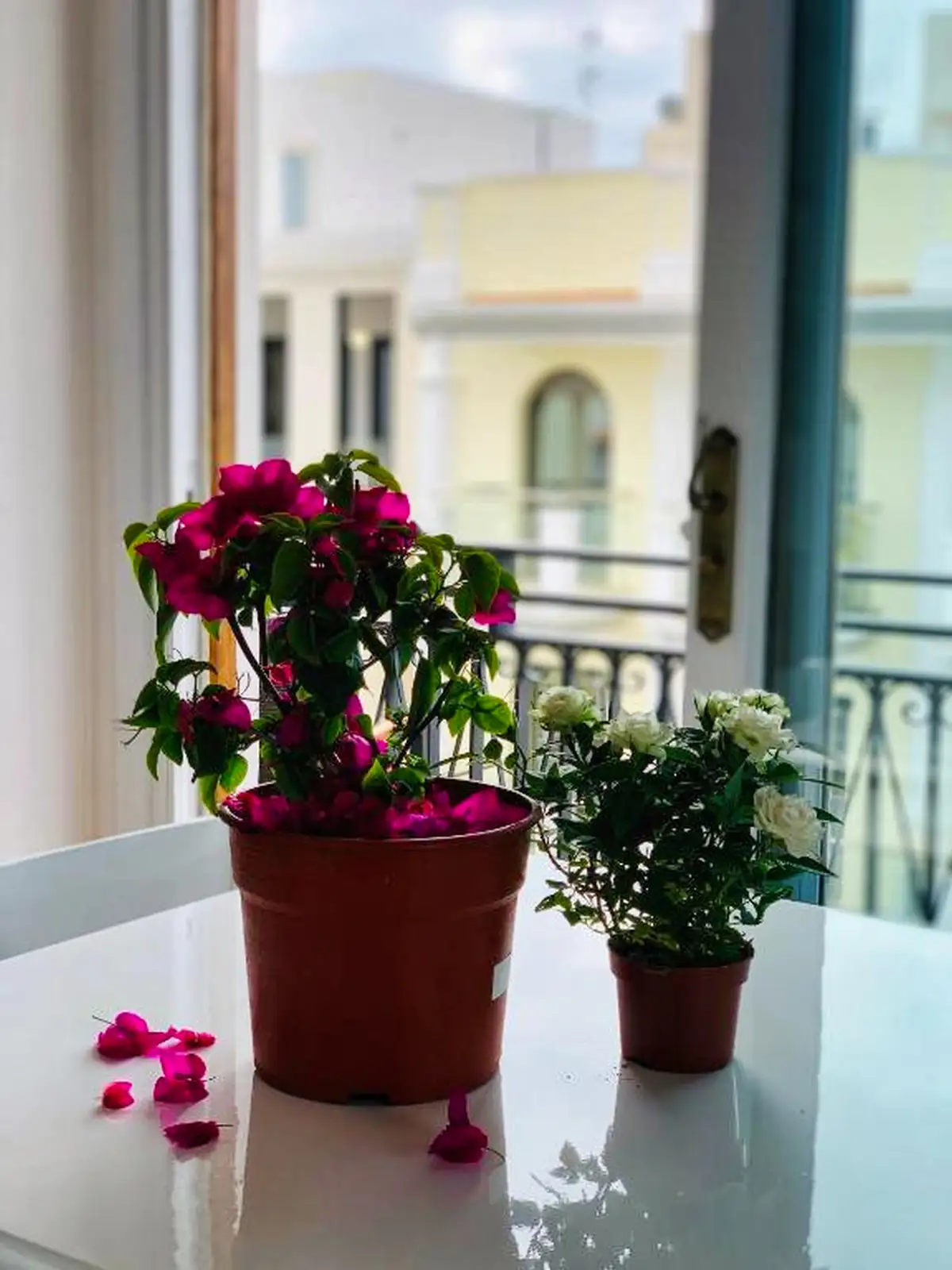 Apartamentos Ebusus