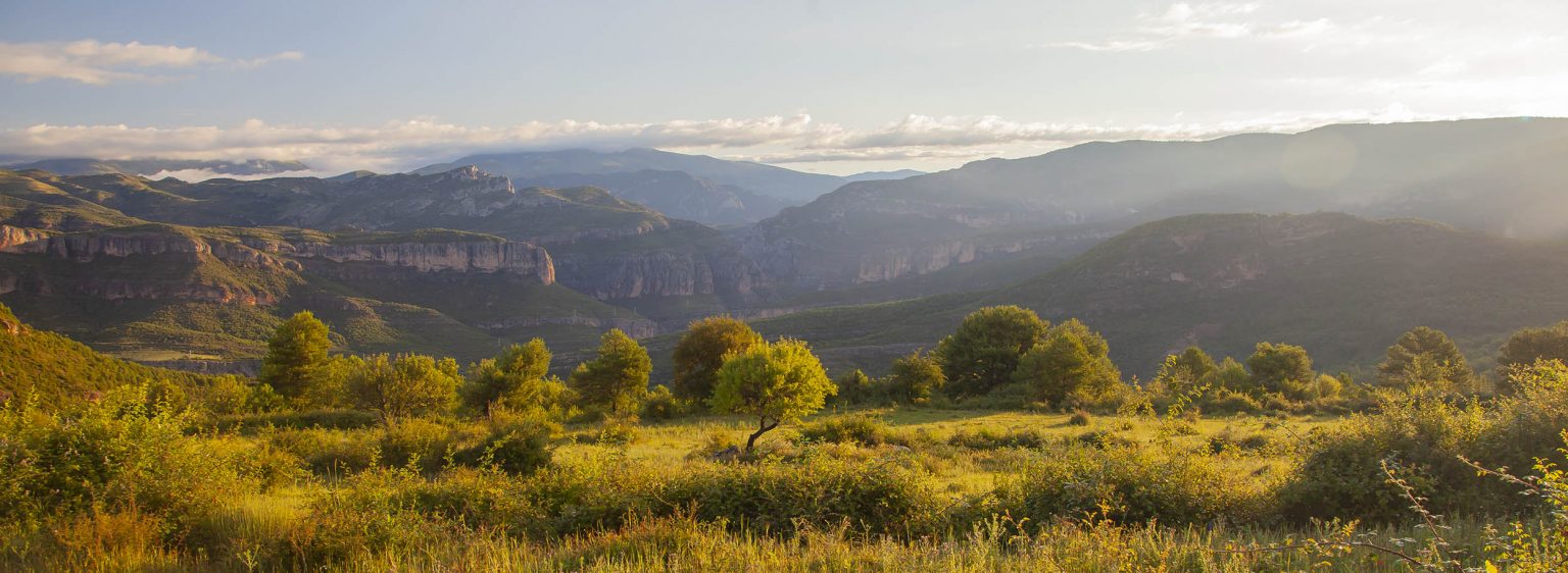La Réserve de Boumort