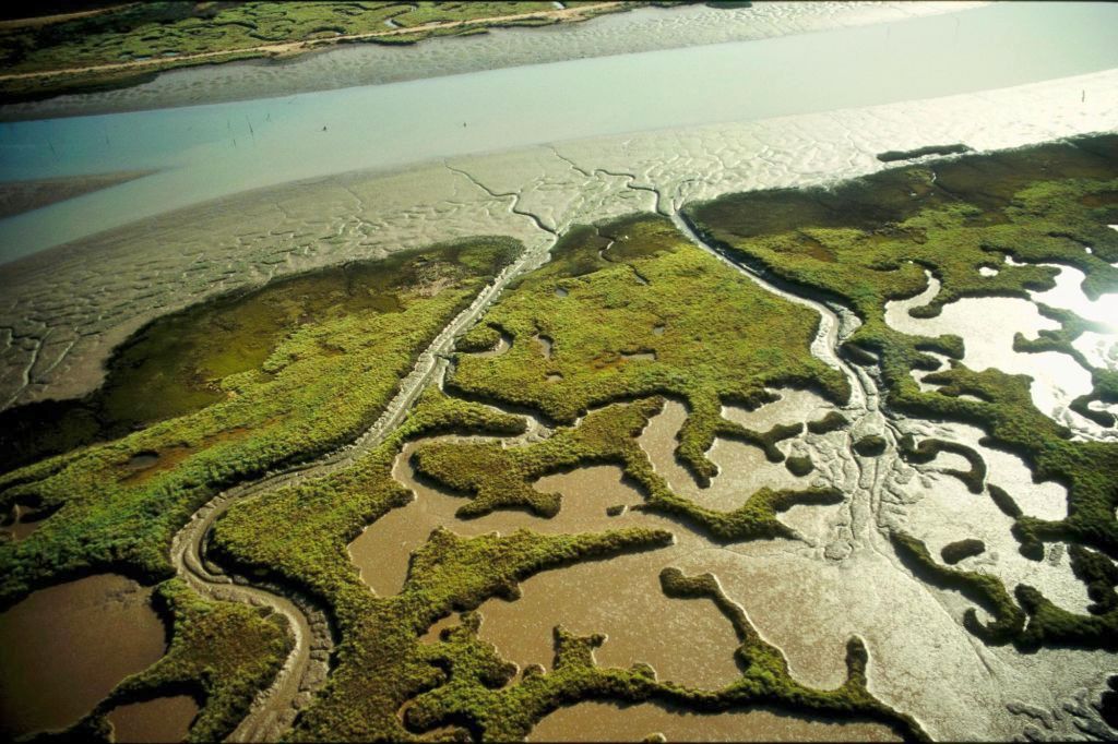 Isla de Enmedio espagne
