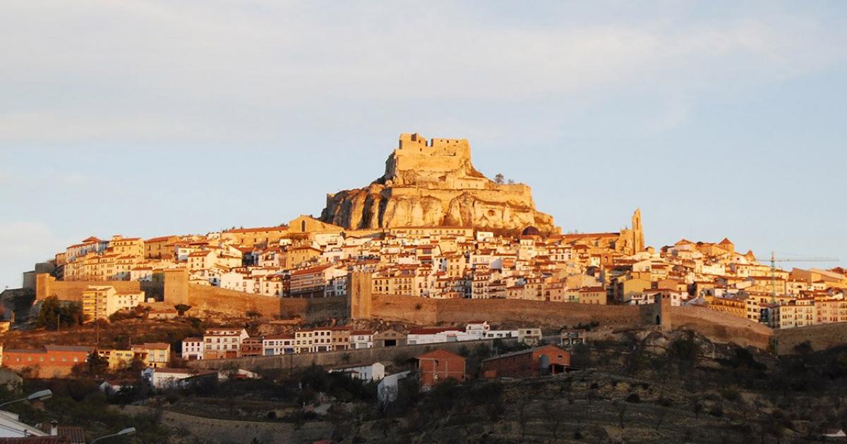 Morella 