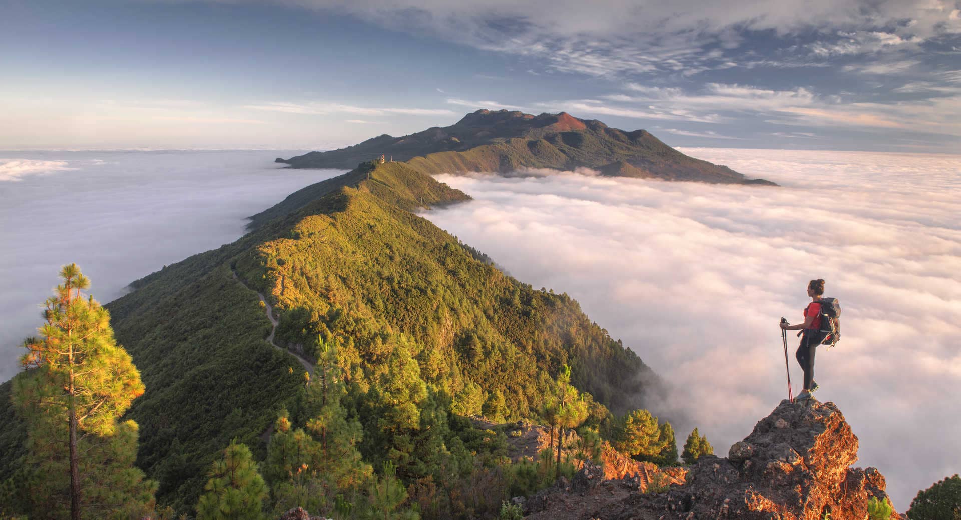 La Palma vue du ciel