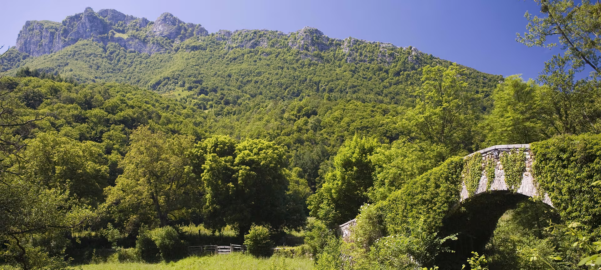 le Parc naturel de Redes randonné