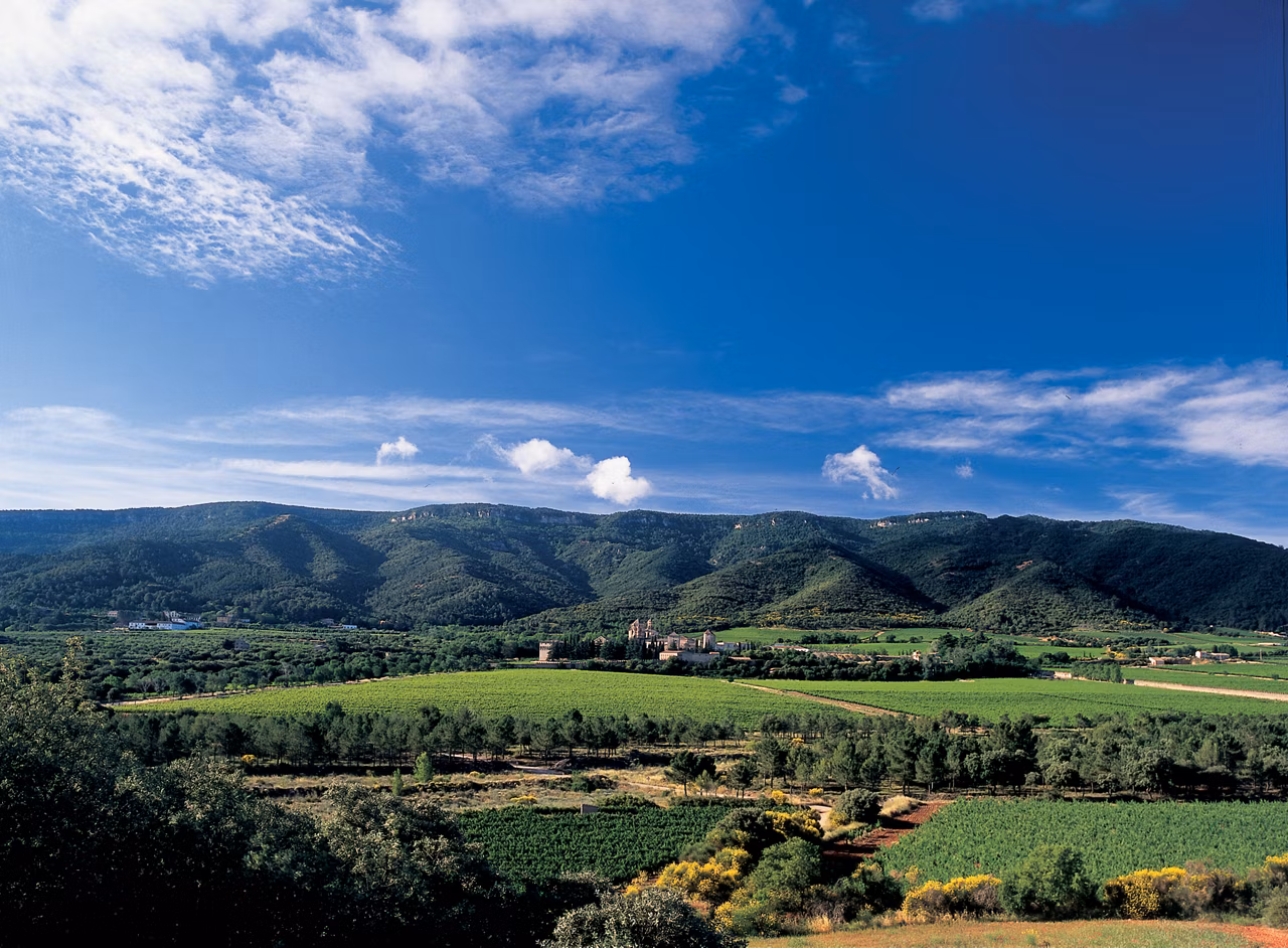 Aiguamúrcia route cistercienne