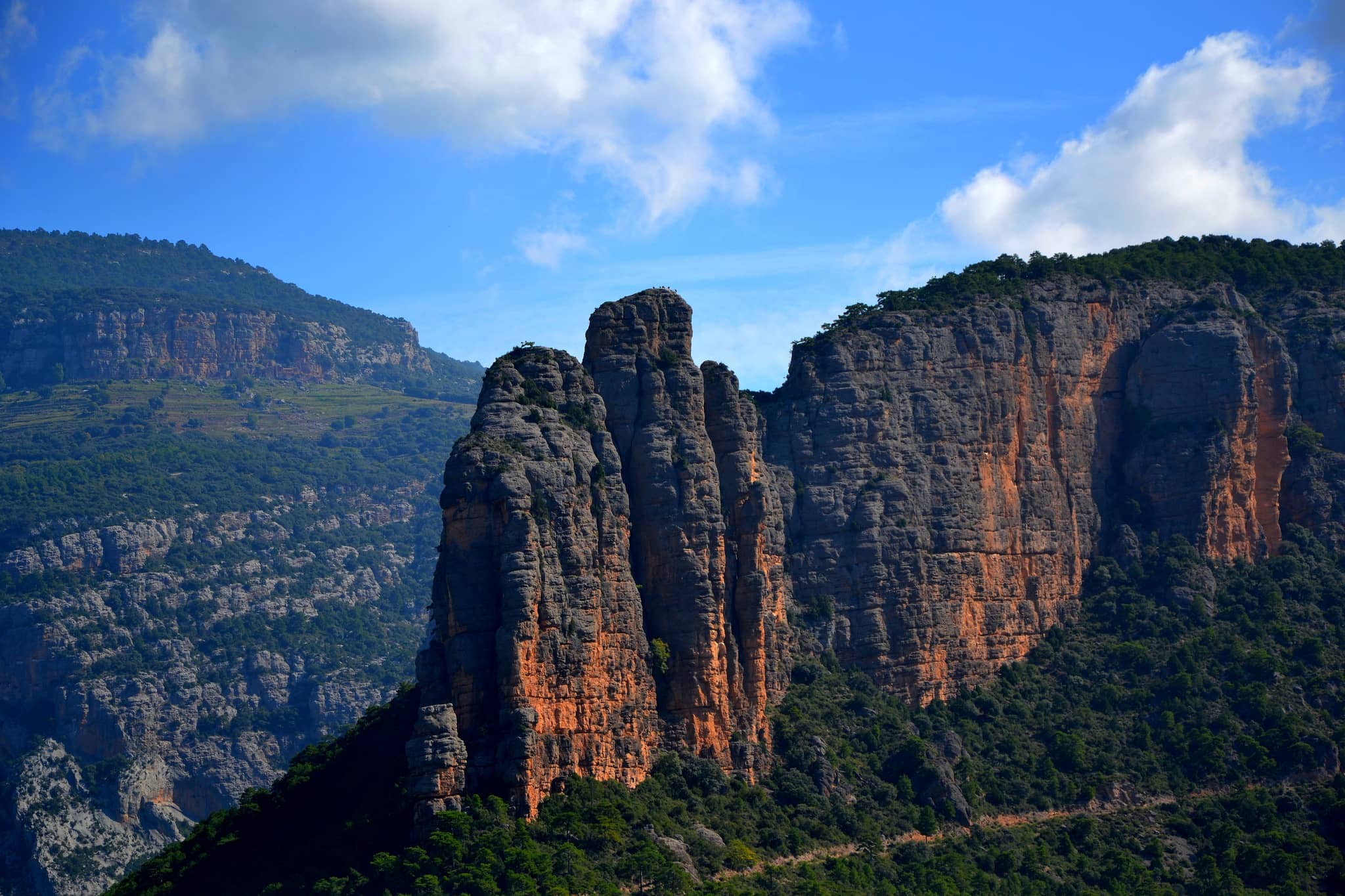 congost de collegats