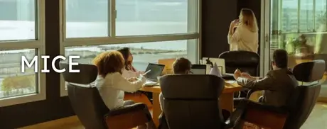 MICE