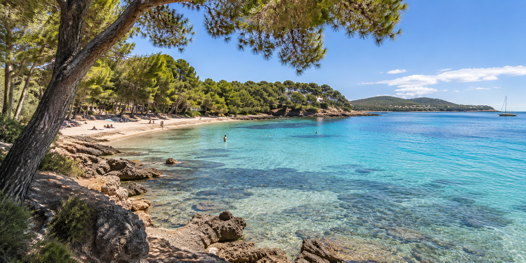Plage d’Es Niu Blau près de Santa Eulalia avec pins, eau cristalline et sable clair