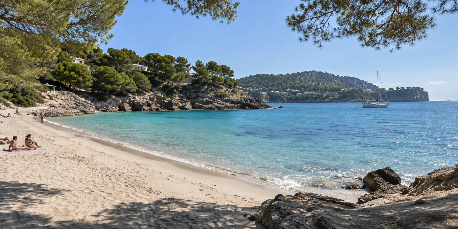 Crique de Cala Fornells près de Paguera avec pins, rochers et eau turquoise de la Méditerranée