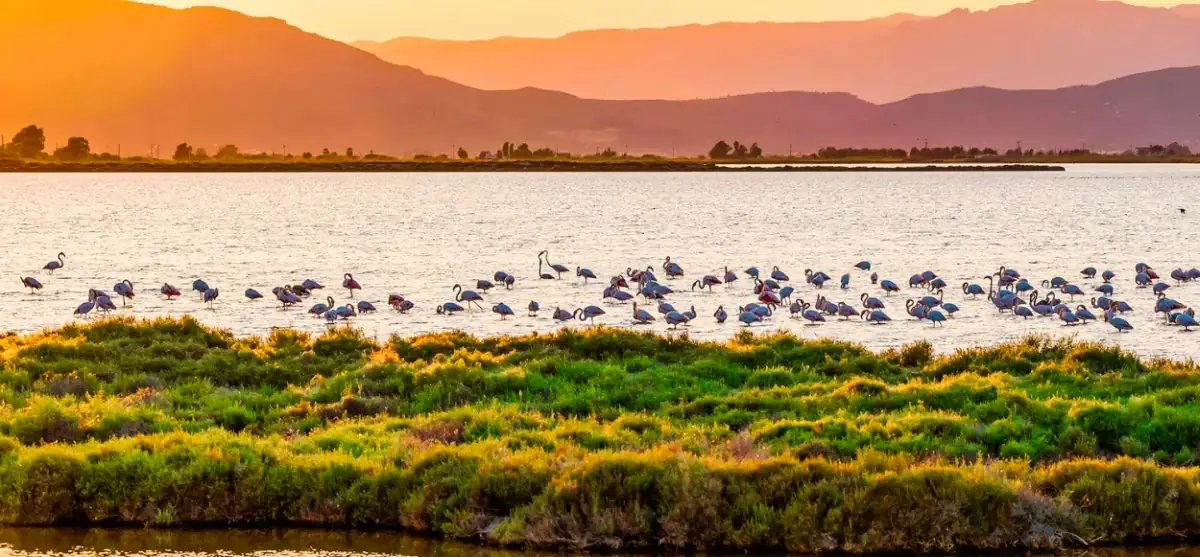 Parc naturel du Delta de l’Èbre