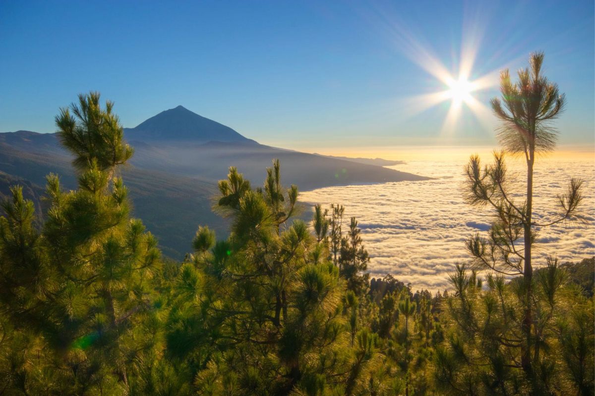 Tenerife est l’île la plus populaire