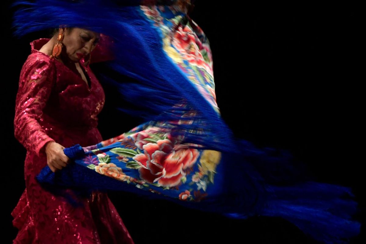 Flamenco Show en Espagne