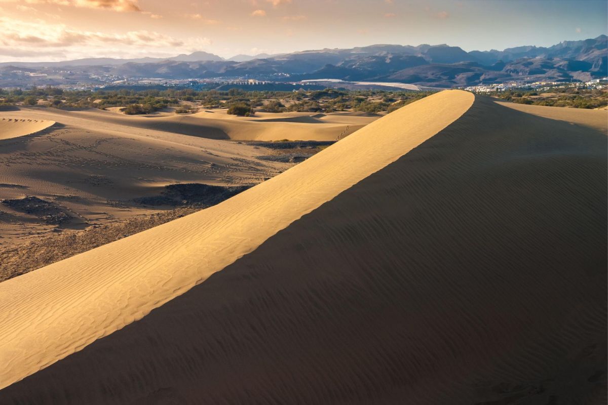 célèbres dunes de Maspalomas